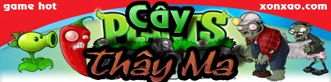 cay chien dau thay ma