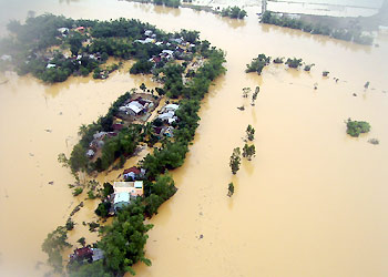 http://www.xaluan.com/images/news/Image/2007/11/15/1195138713.img.jpg