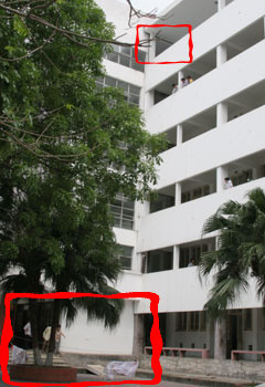 Một sinh viên đại học nhảy từ tầng 6