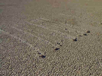 Bí ẩn đá tự dịch chuyển trên Thung lũng Chết - 5