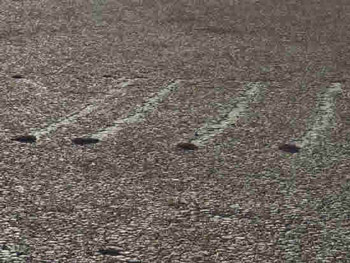 Bí ẩn đá tự dịch chuyển trên Thung lũng Chết - 6