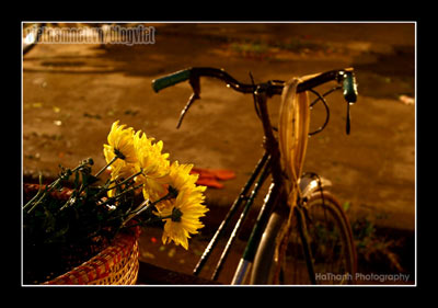 [Image: images1575444_images1565412_d75c.jpg]