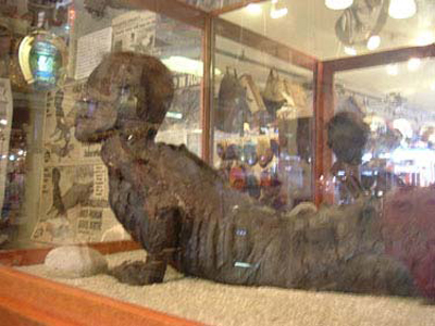 huyền thoại người cá sấu - 5