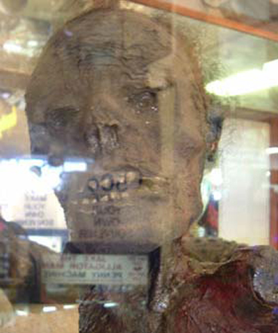 huyền thoại người cá sấu - 6