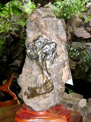 H�nh bản đồ tr�n h�n đ� Ảnh: H.Q