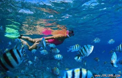 Thế giới tuyệt vời ở Ai Cập shopping entertainments