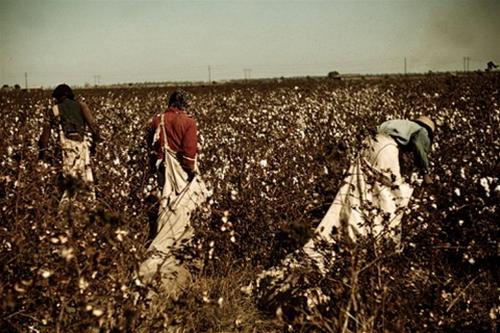 Đi thuyền ch&acirc;n vịt với Mark Twain tr&ecirc;n d&ograve;ng Mississippi