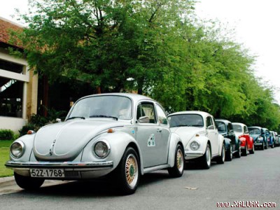 Xe con Bọ Volkswagen