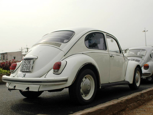 Xe con Bọ Volkswagen - 8