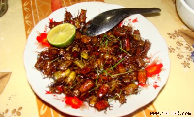 Thật hấp dẫn!