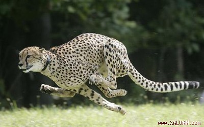 1252723317.img.jpg