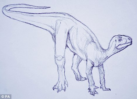 Thecondontosaurus antiquus. 