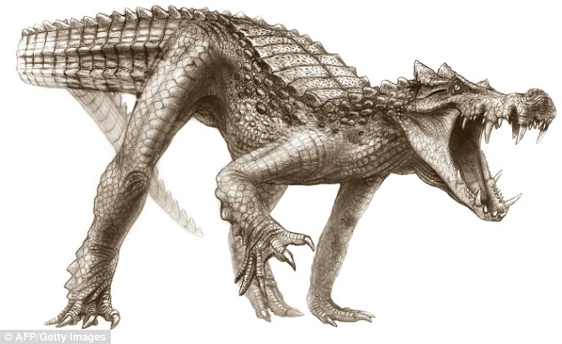 The Boar Croc: At 20ft long, this carnivore had an armoured snout with teeth like a boar’s Read more: http://www.dailymail.co.uk/sciencetech/article-1229250/Crocodiles-boar-like-teeth-pancake-flat-skulls.html#ixzz0XNhcSl7a