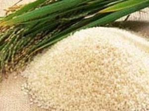 Ấn Độ tuyên bố rút lại kế hoạch nhập khẩu gạo