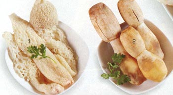 Nấm măng hoa và nấm đùi gà