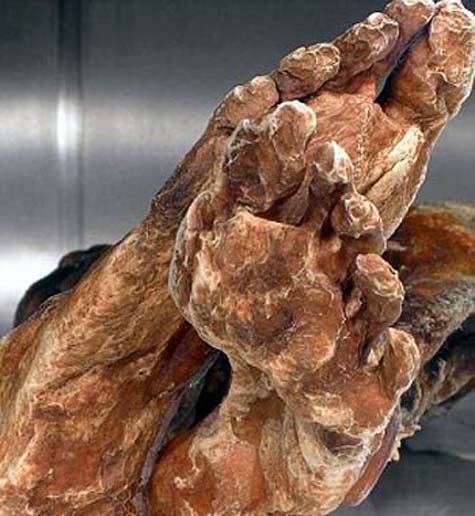 [Ảnh: 1260355542-nguoi-bang-Otzi-3.jpg]