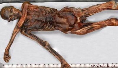 [Ảnh: 1263693689.img.jpg]