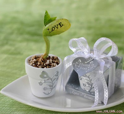 Unique Wedding Favors, Unique Wedding Favors Pictures