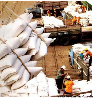 Chính phủ chỉ đạo, mua gạo tạm trữ 1 triệu tấn gạo trong vụ hè thu này. Ảnh: IE