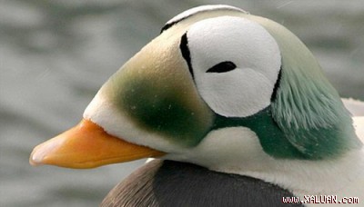 1284626072.img.jpg