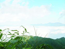 Fansipan trong sương - Ảnh: wikimedia