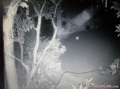 Luồng sáng lạ xuất hiện bên phía trái màn hình qua camera phía sân sau nhà anh Hoài.