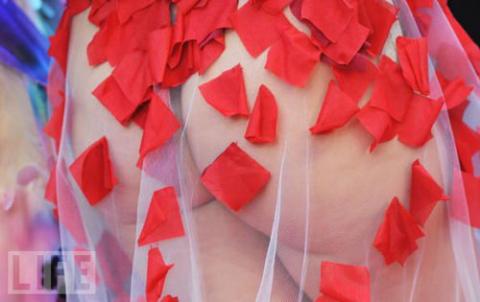 Khi sao nữ "cự tuyệt" quần chip, Phim, Sao nu,sao hoa ngu, sao hollywoodd, pham bang bang,paris hilton,chau tan, Julie Atlas Muz , Jessica Simpson, lo hang, quan chip