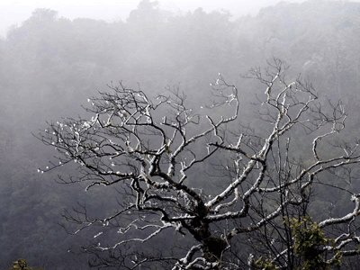 Miền Bắc tiếp tục rét đậm