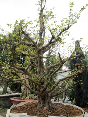 20110123163004_5.jpg.jpg