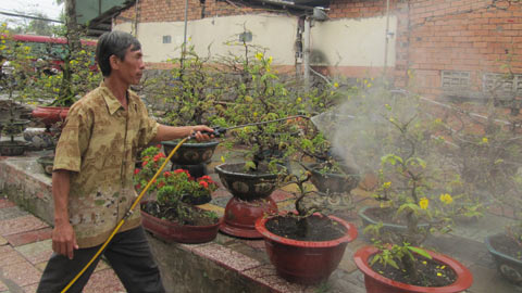 20110123163004_9.jpg.jpg