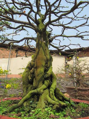 20110123163016_11.jpg.jpg