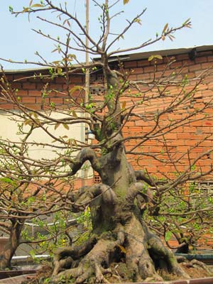 20110123163044_13.jpg.jpg