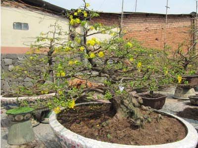 20110123163044_14.jpg.jpg