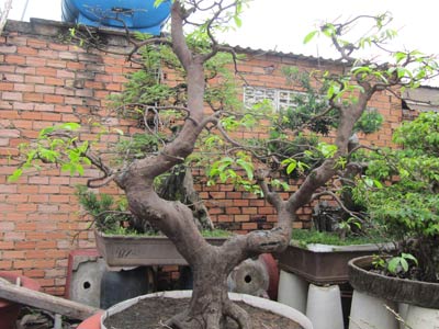 20110123163059_19.jpg.jpg