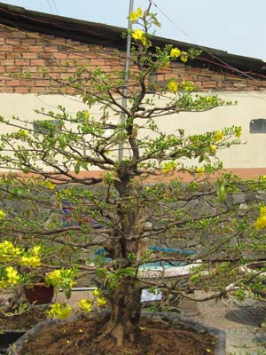 20110123163059_22.jpg.jpg