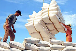 Kim ngạch xuất khẩu gạo đạt trên 380 triệu USD shopping entertainments