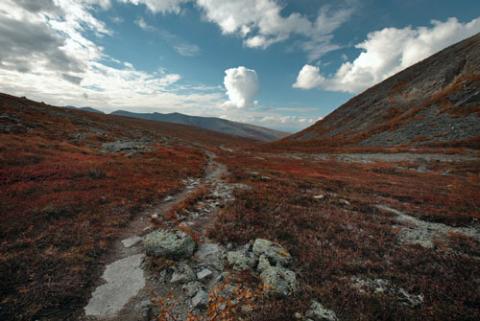 Ngắm sắc vàng thu trên dãy núi Hibiny