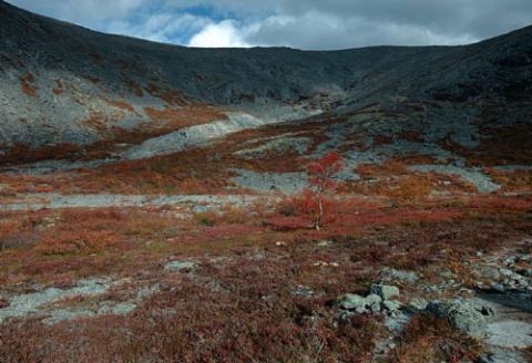 Ngắm sắc vàng thu trên dãy núi Hibiny