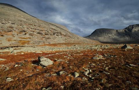 Ngắm sắc vàng thu trên dãy núi Hibiny