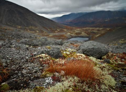 Ngắm sắc vàng thu trên dãy núi Hibiny