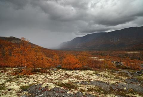 Ngắm sắc vàng thu trên dãy núi Hibiny