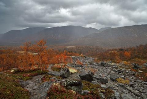 Ngắm sắc vàng thu trên dãy núi Hibiny