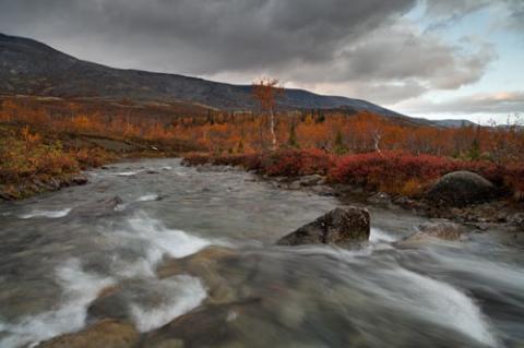 Ngắm sắc vàng thu trên dãy núi Hibiny