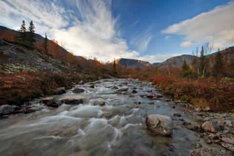 Ngắm sắc vàng thu trên dãy núi Hibiny
