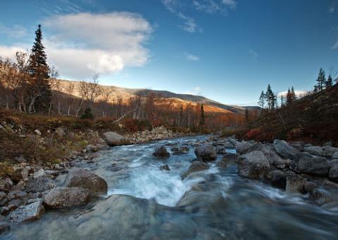 Ngắm sắc vàng thu trên dãy núi Hibiny