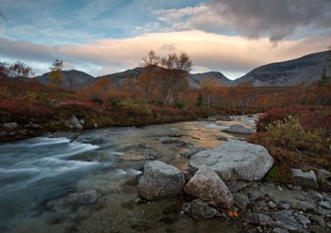 Ngắm sắc vàng thu trên dãy núi Hibiny