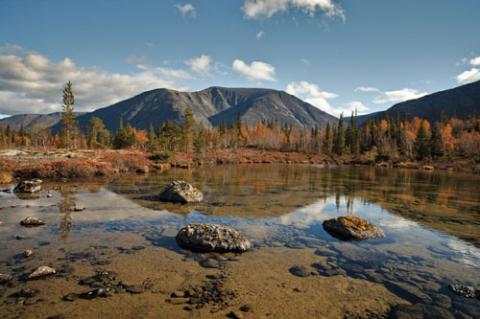 Ngắm sắc vàng thu trên dãy núi Hibiny