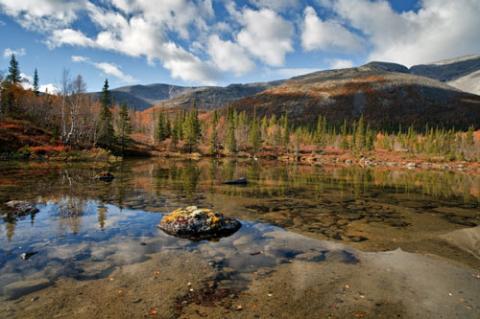 Ngắm sắc vàng thu trên dãy núi Hibiny