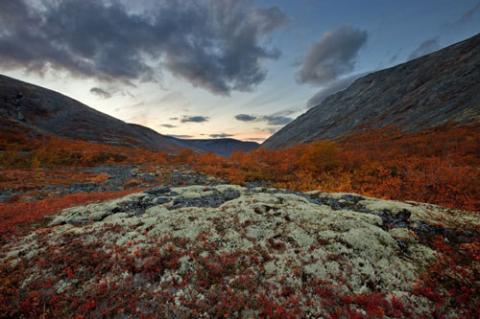 Ngắm sắc vàng thu trên dãy núi Hibiny