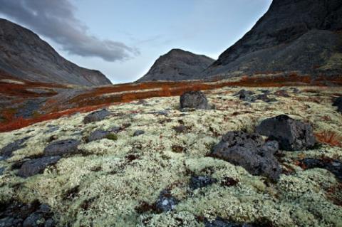 Ngắm sắc vàng thu trên dãy núi Hibiny